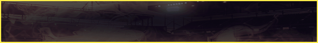 SAOBET là nhà cái trực tuyến uy tín hàng đầu thị trường Việt, cung cấp kèo cược thể thao, casino trực tuyến và game online với tỷ lệ trả thưởng hoàn trả tốt nhất ngành.